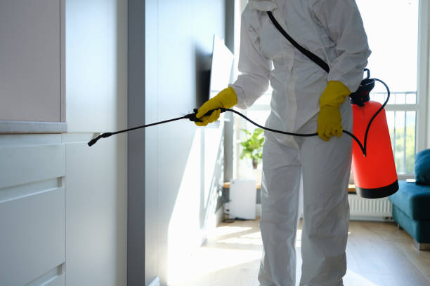 Best Mold Testing and Inspection Services in Lynwood, IL